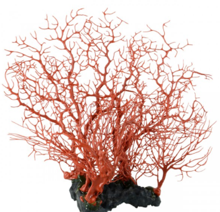 Underwater Treasures Sea Fan Coral