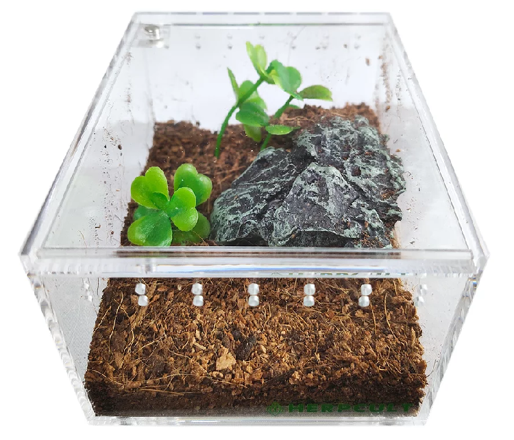 Acrylic Enclosure Mini Flat Clear Top