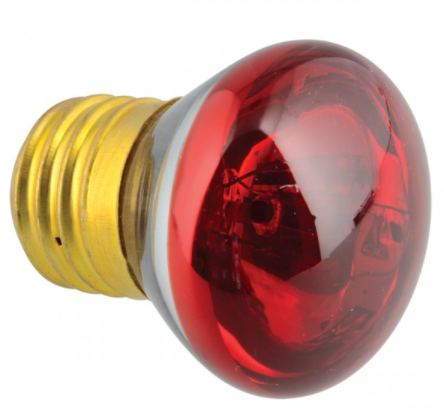 Zoo Med Nano Infrared Heat Lamp - 25 W
